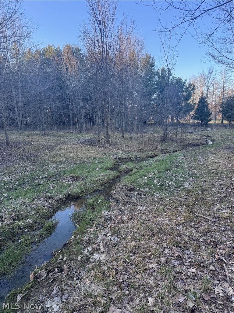 V/l White Road Rock Creek OH 44084
