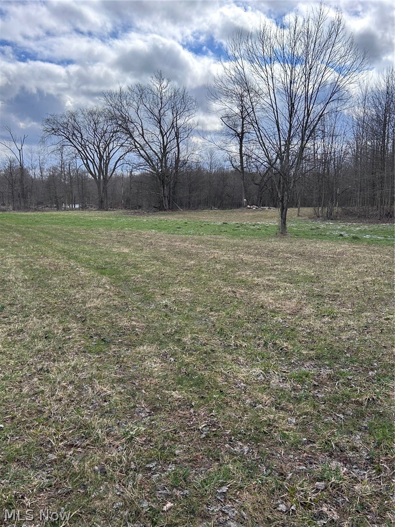 V/l White Road Rock Creek OH 44084