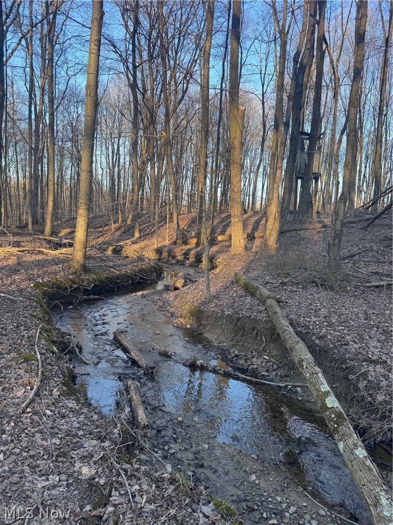 V/l White Road Rock Creek OH 44084