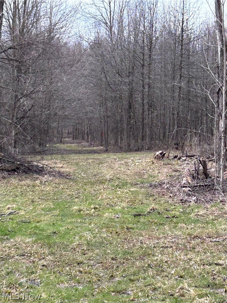 V/l White Road Rock Creek OH 44084