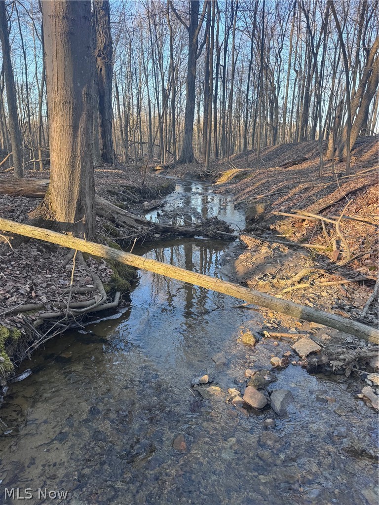 V/l White Road Rock Creek OH 44084