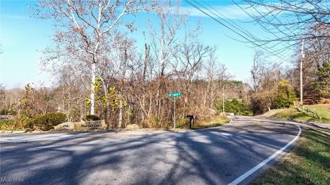 Lot #1 Mountain Laurel Marietta OH 45750