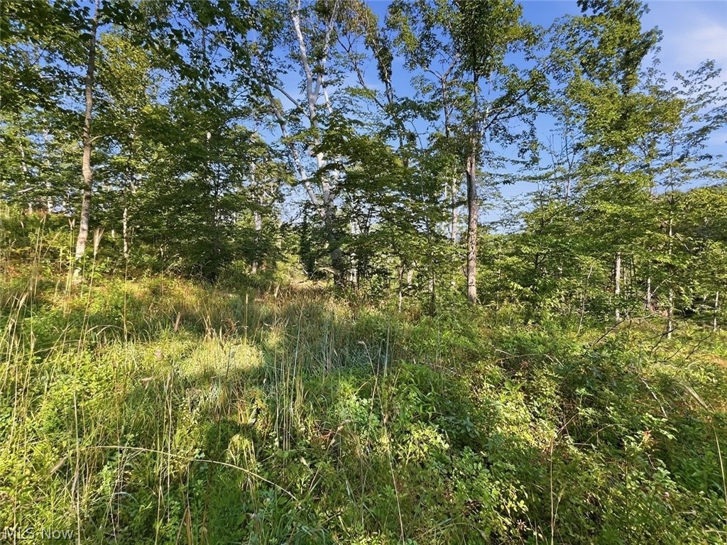 00 State Route 155 SE Corning OH 43730
