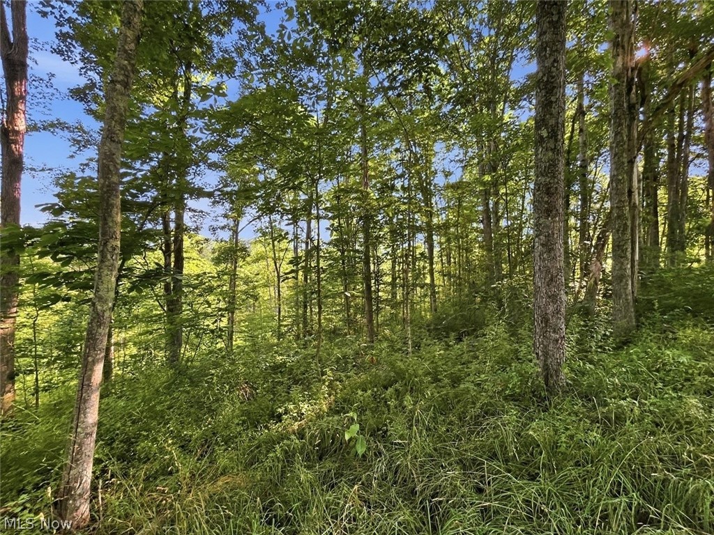 00 State Route 155 SE Corning OH 43730