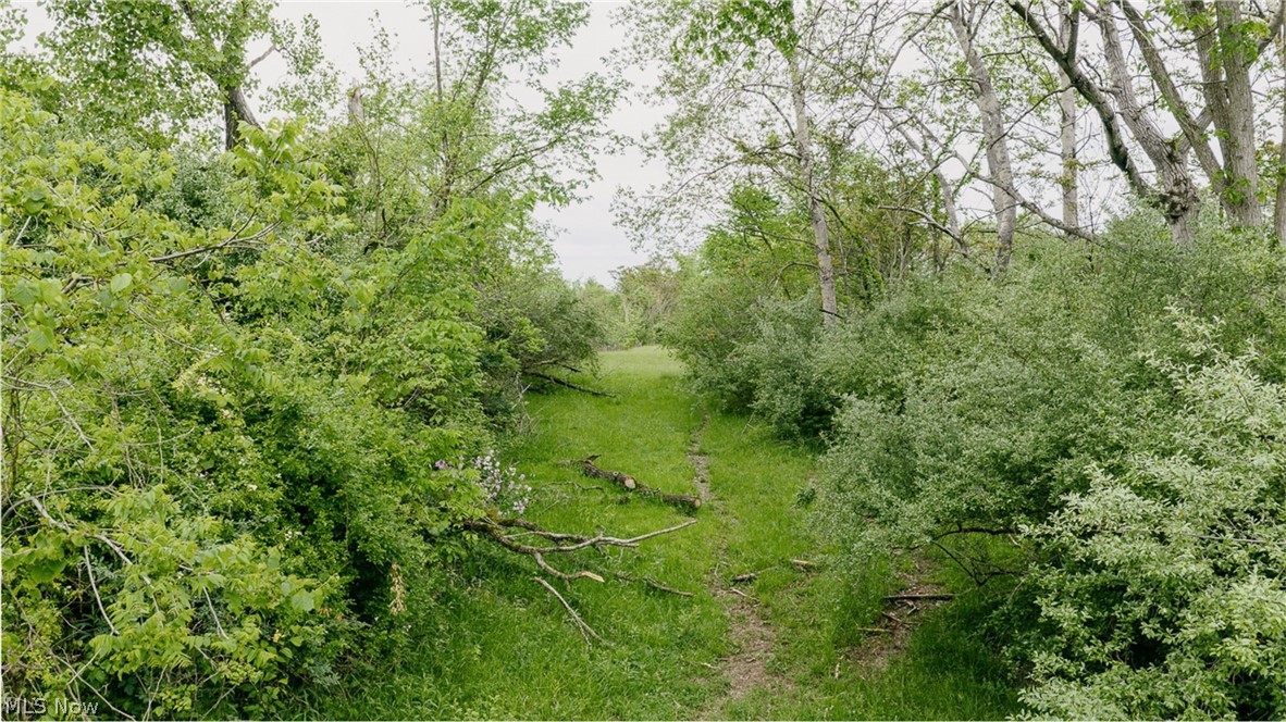 84205 Rose Valley Road Hopedale OH 43907