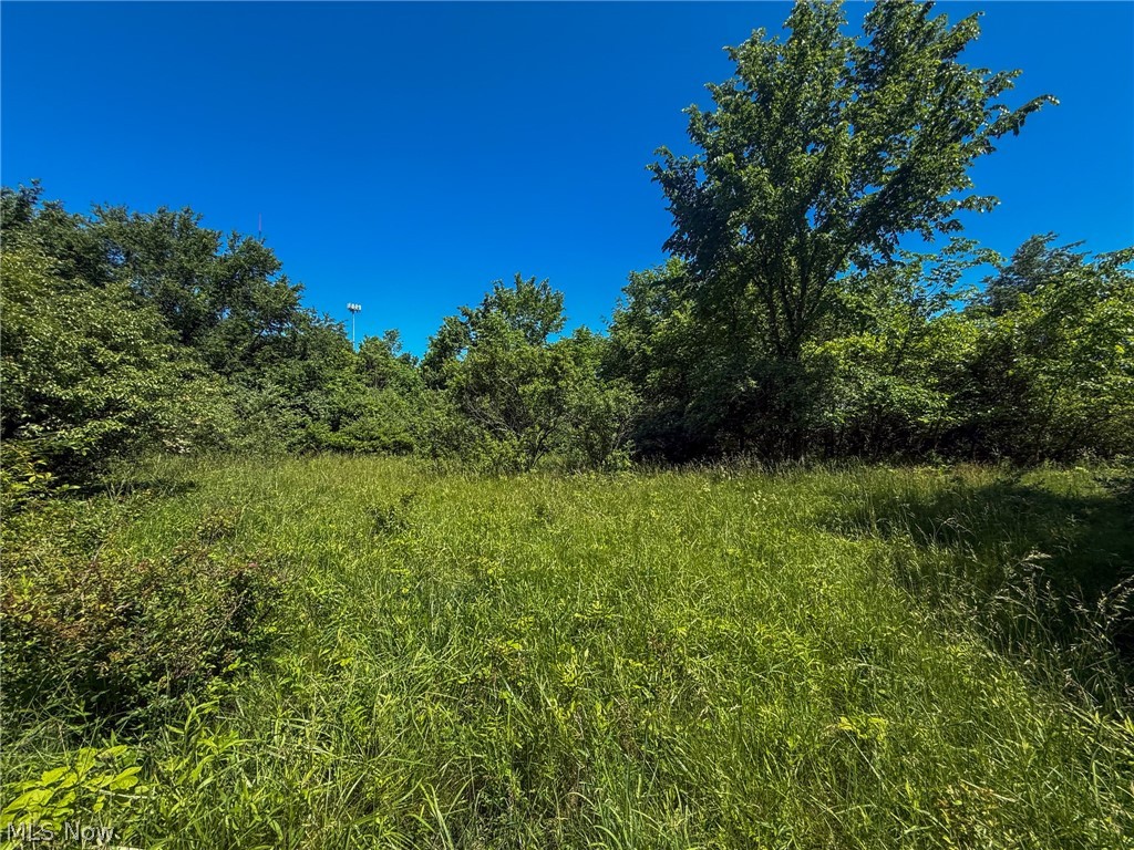 Lot 2 Altamont Road Mingo Junction OH 43938