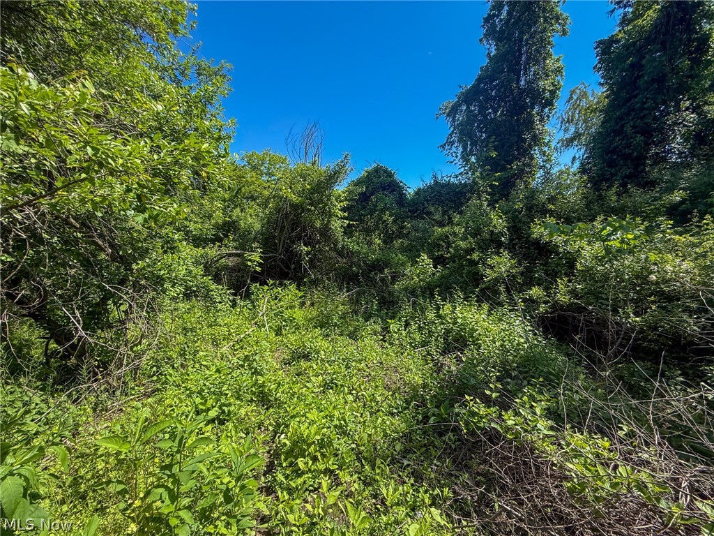 Lot 2 Altamont Road Mingo Junction OH 43938