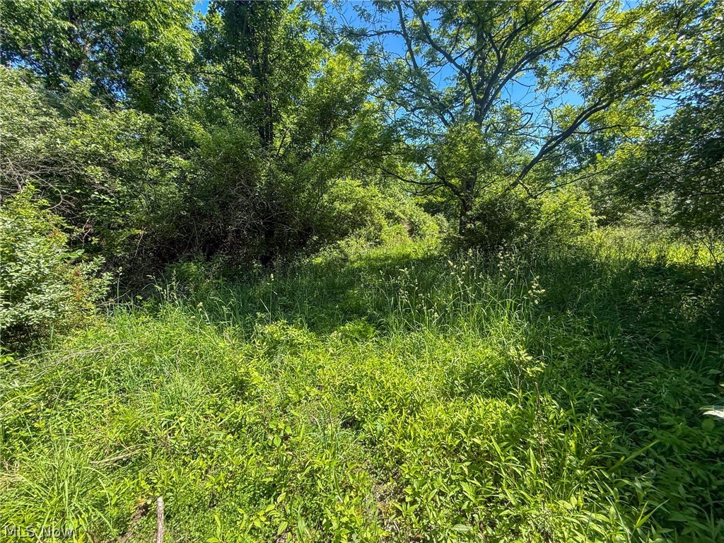 Lot 2 Altamont Road Mingo Junction OH 43938