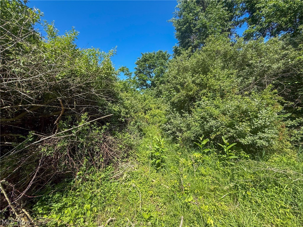 Lot 2 Altamont Road Mingo Junction OH 43938