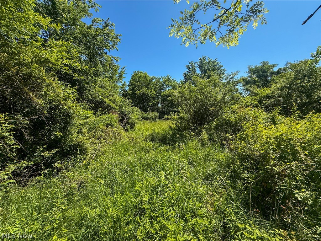 Lot 2 Altamont Road Mingo Junction OH 43938