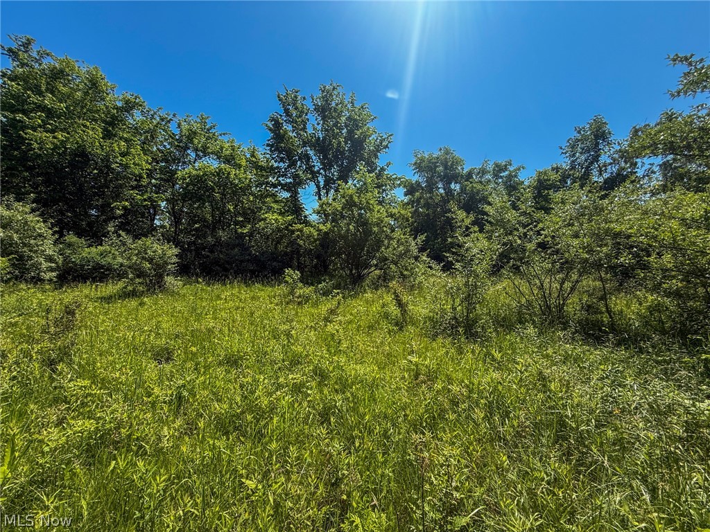 Lot 2 Altamont Road Mingo Junction OH 43938