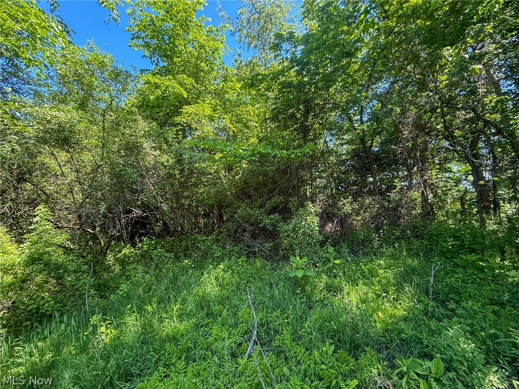 Lot 2 Altamont Road Mingo Junction OH 43938