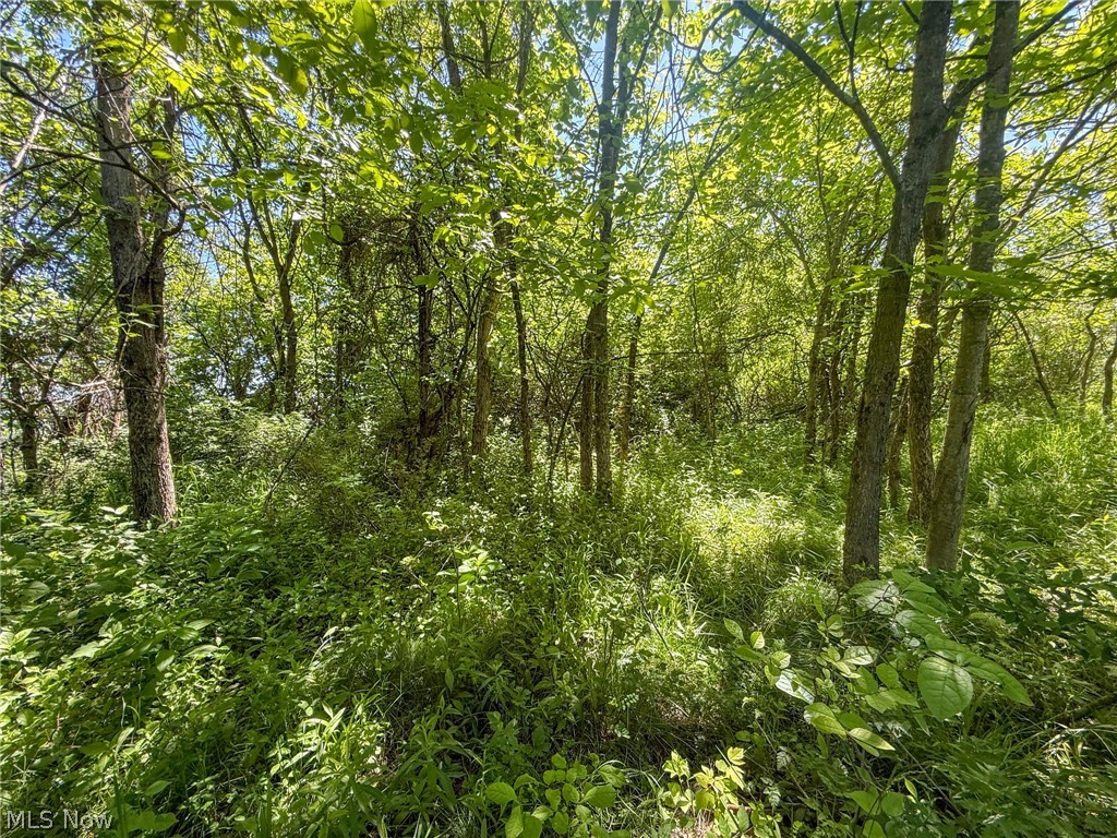 Lot 2 Altamont Road Mingo Junction OH 43938