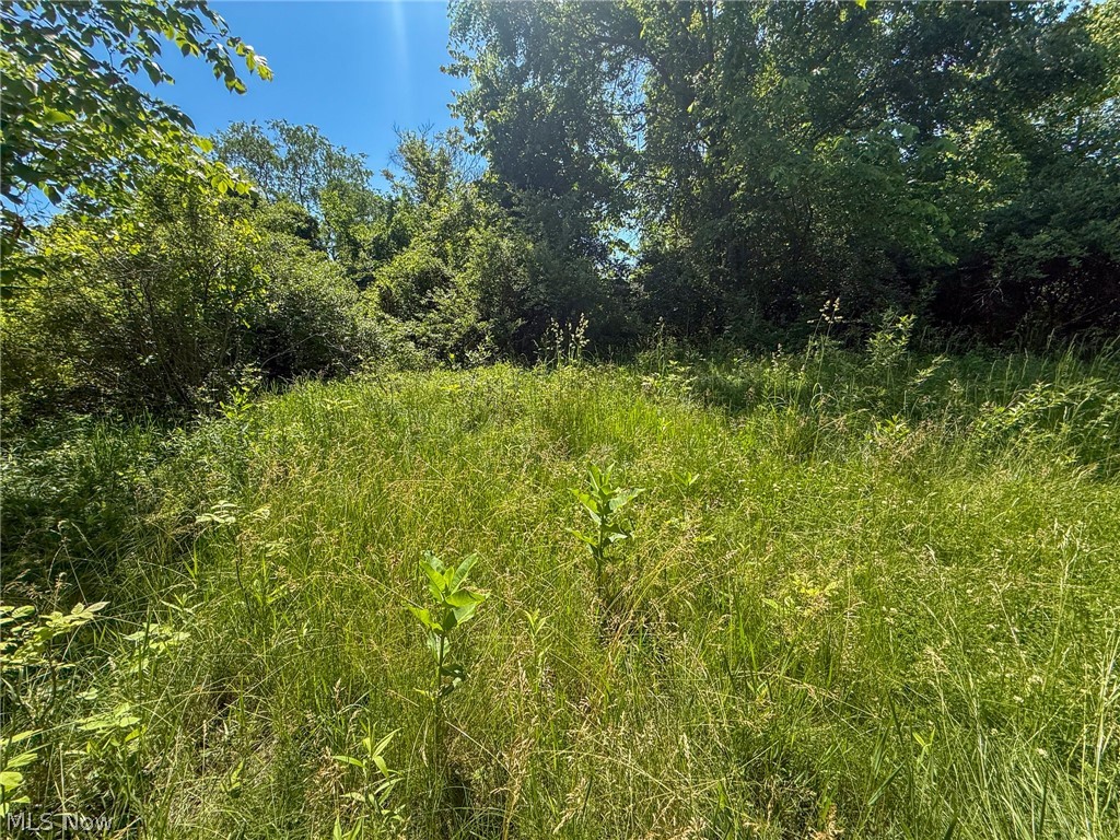 Lot 2 Altamont Road Mingo Junction OH 43938