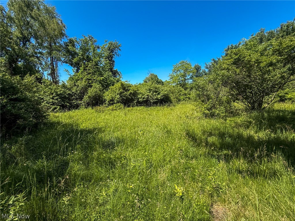 Lot 2 Altamont Road Mingo Junction OH 43938