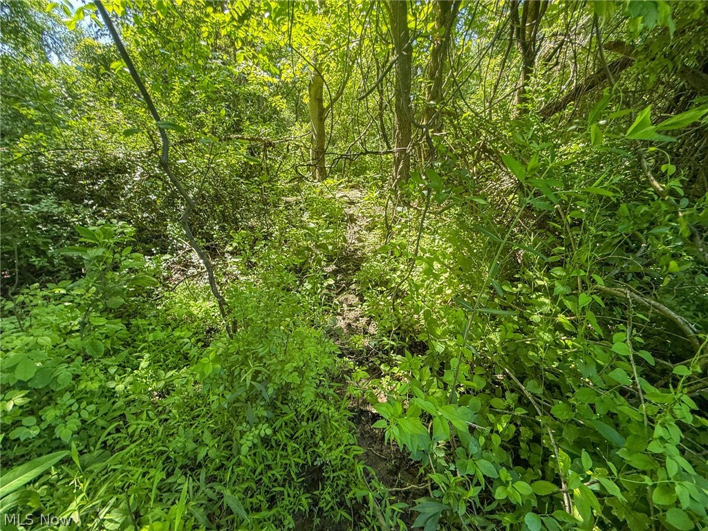 Lot 2 Altamont Road Mingo Junction OH 43938