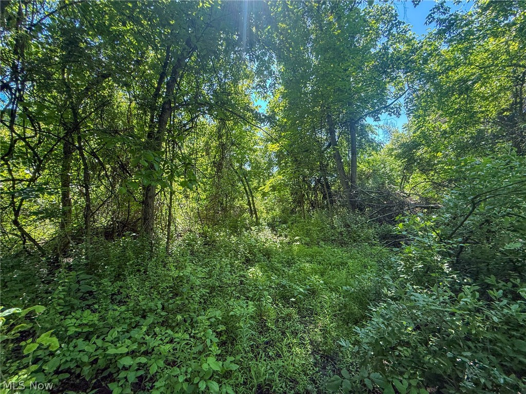 Lot 2 Altamont Road Mingo Junction OH 43938