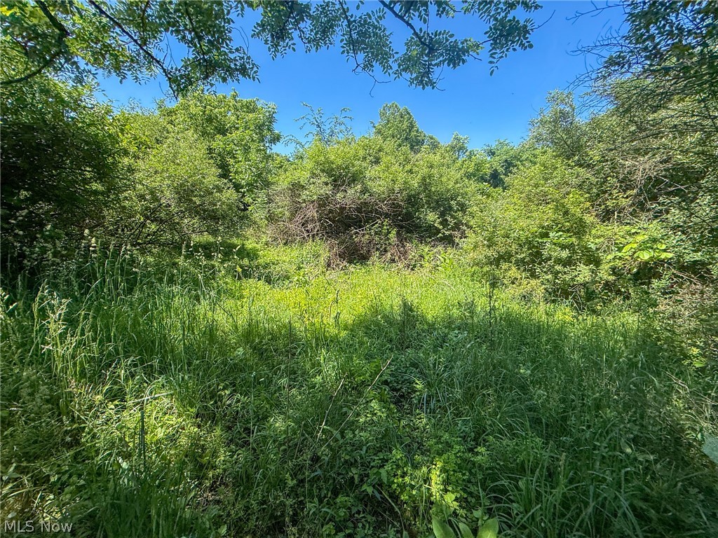 Lot 2 Altamont Road Mingo Junction OH 43938
