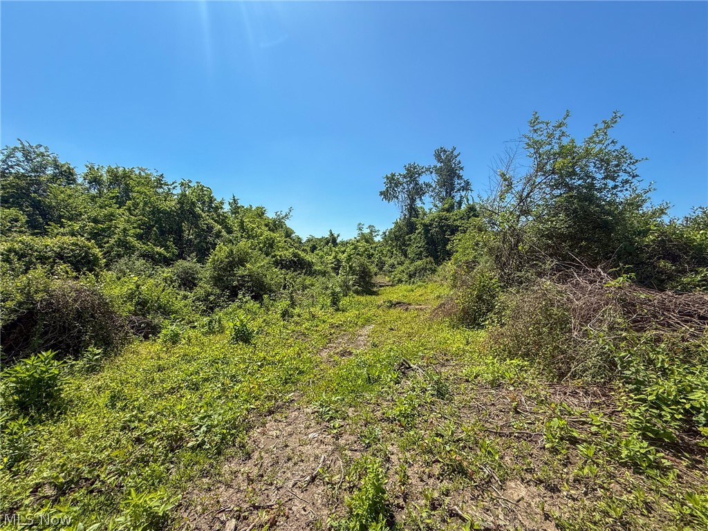 Lot 2 Altamont Road Mingo Junction OH 43938