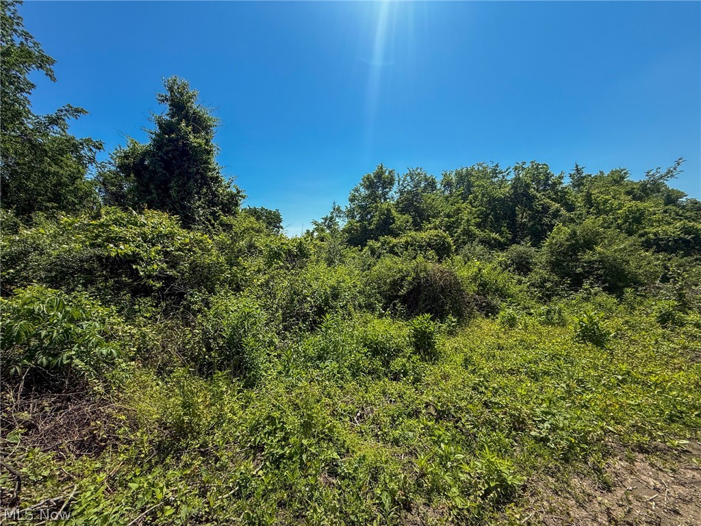 Lot 2 Altamont Road Mingo Junction OH 43938