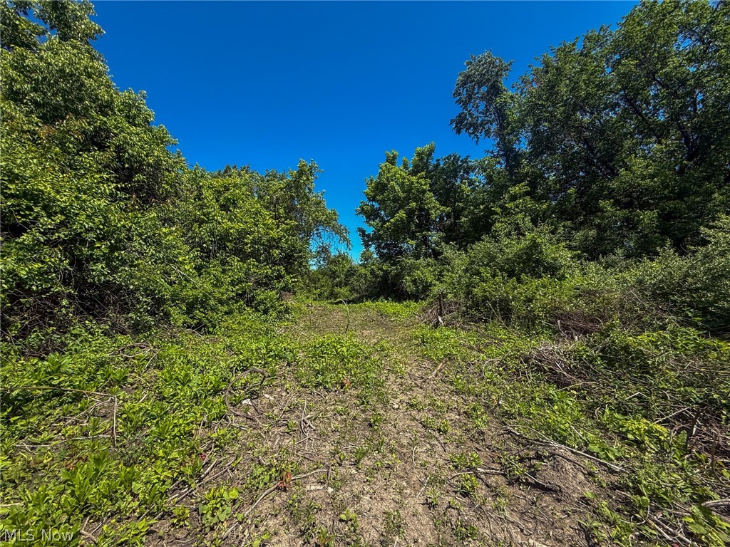Lot 2 Altamont Road Mingo Junction OH 43938