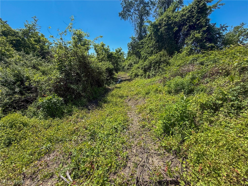 Lot 2 Altamont Road Mingo Junction OH 43938