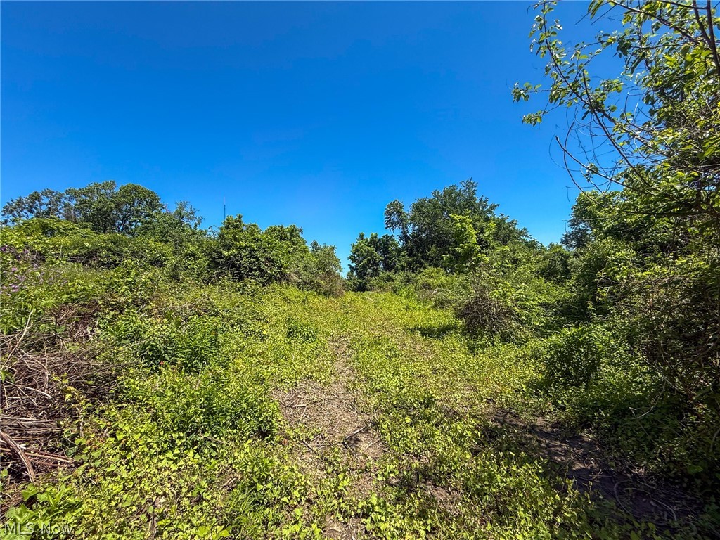 Lot 2 Altamont Road Mingo Junction OH 43938