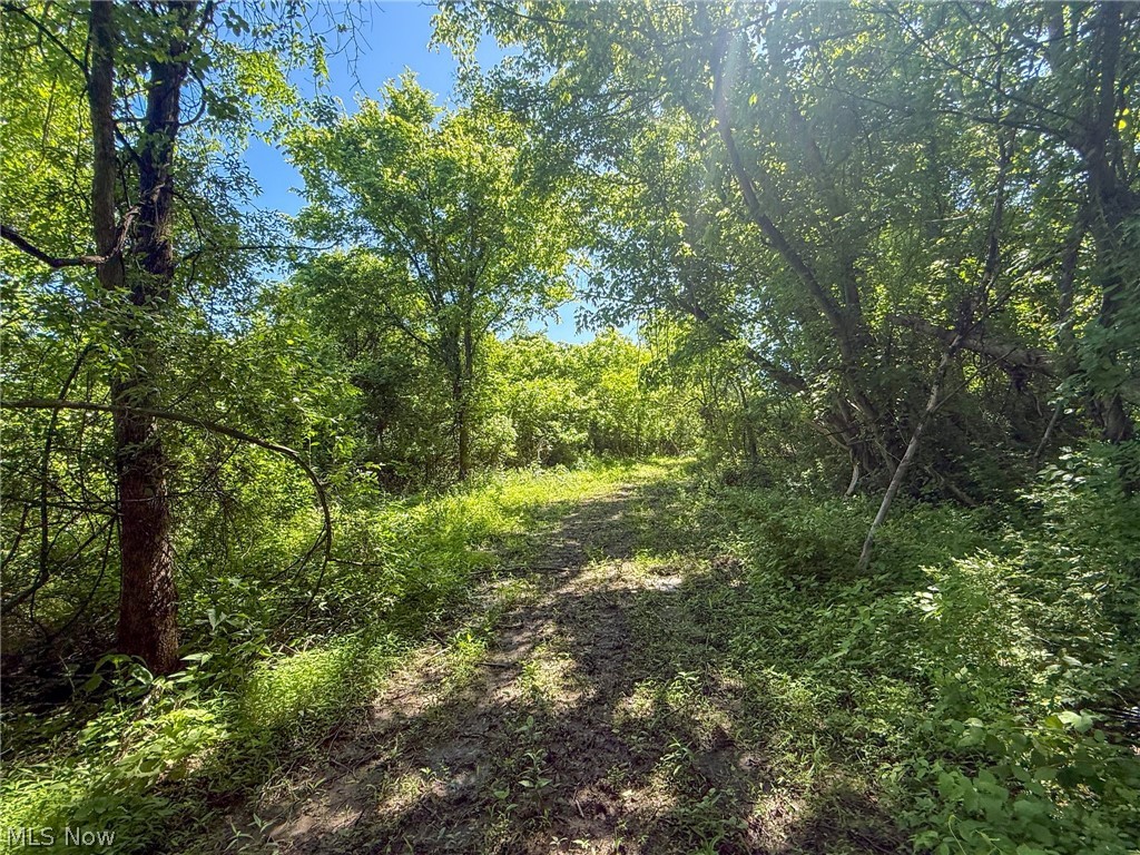 Lot 2 Altamont Road Mingo Junction OH 43938
