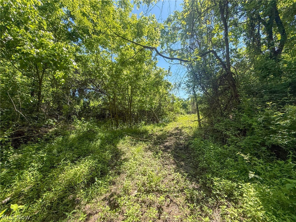 Lot 2 Altamont Road Mingo Junction OH 43938