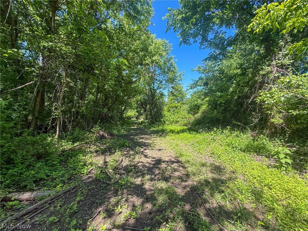 Lot 2 Altamont Road Mingo Junction OH 43938