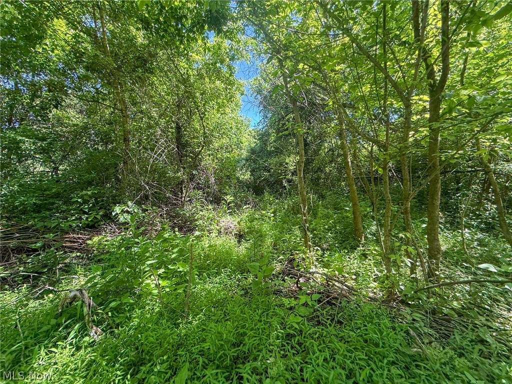 Lot 2 Altamont Road Mingo Junction OH 43938