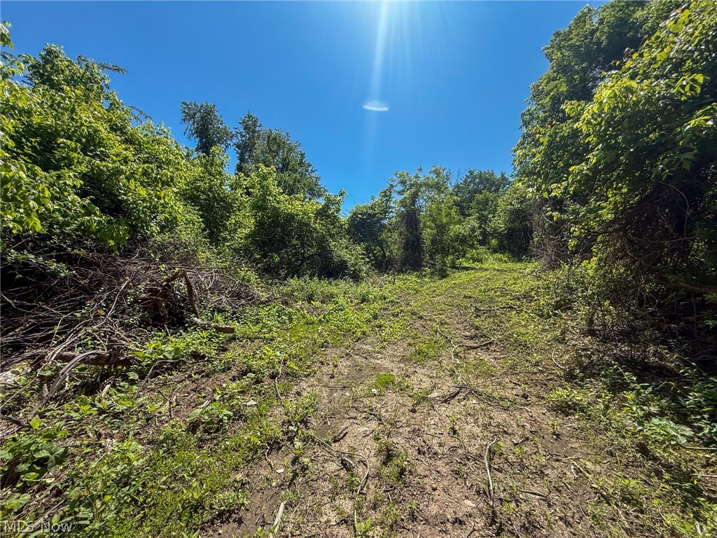 Lot 2 Altamont Road Mingo Junction OH 43938