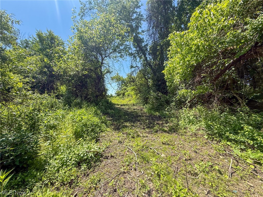 Lot 2 Altamont Road Mingo Junction OH 43938