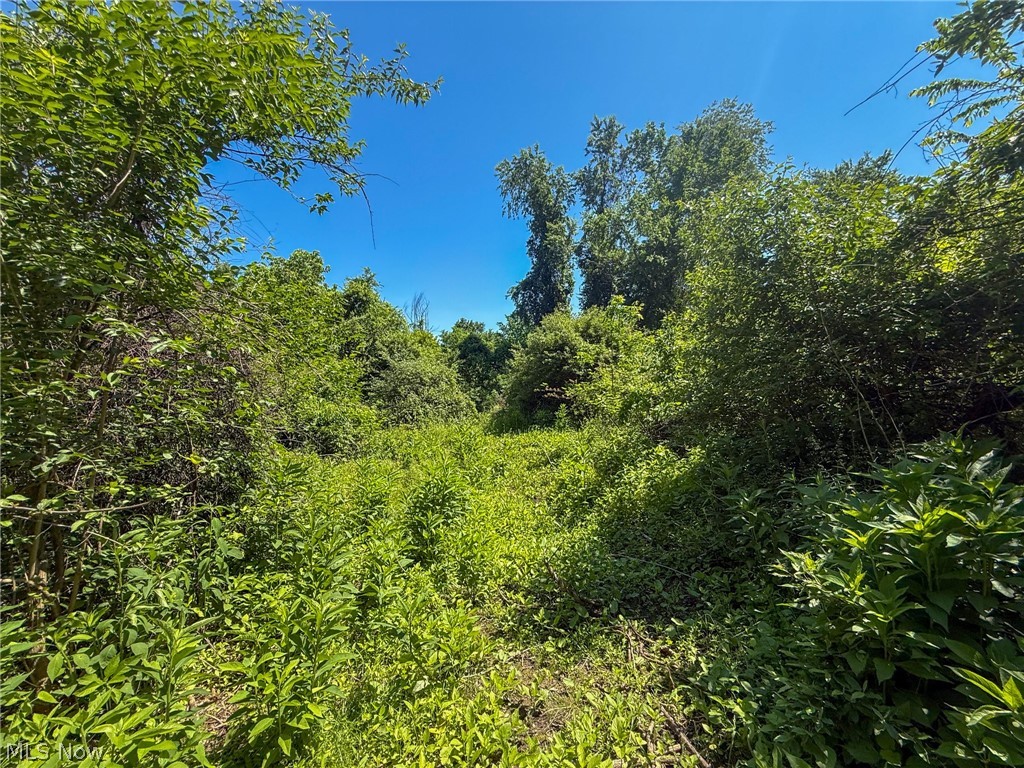 Lot 2 Altamont Road Mingo Junction OH 43938