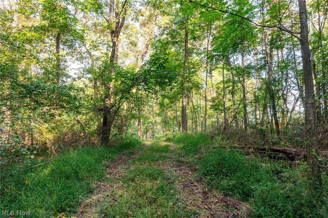 10772 Lawndell Road SW Navarre OH 44662