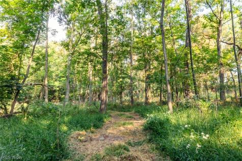 10772 Lawndell Road SW Navarre OH 44662