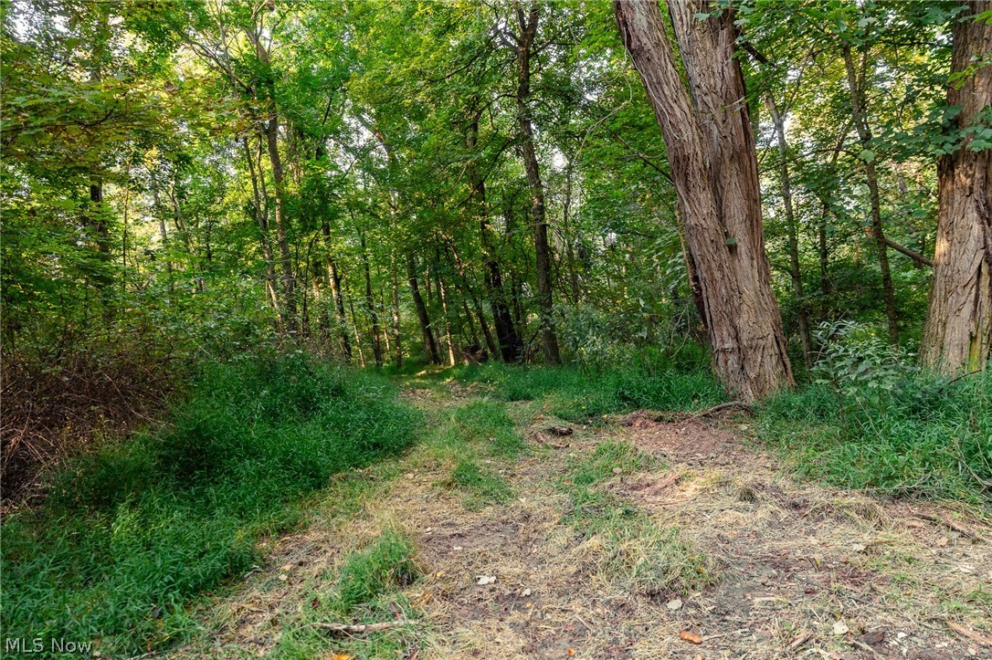 10772 Lawndell Road SW Navarre OH 44662