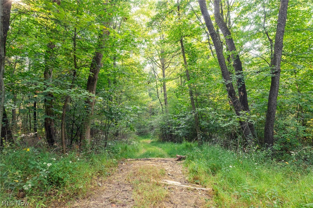 10772 Lawndell Road SW Navarre OH 44662