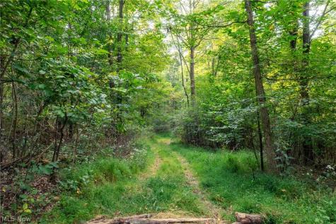 10772 Lawndell Road SW Navarre OH 44662