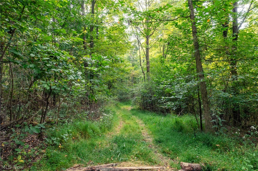 10772 Lawndell Road SW Navarre OH 44662