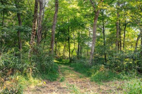 10772 Lawndell Road SW Navarre OH 44662