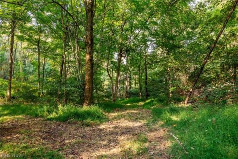 10772 Lawndell Road SW Navarre OH 44662