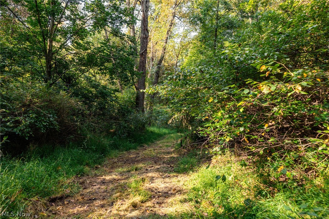10772 Lawndell Road SW Navarre OH 44662