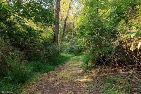 10772 Lawndell Road SW Navarre OH 44662