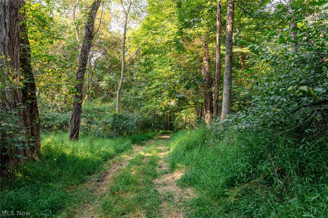 10772 Lawndell Road SW Navarre OH 44662