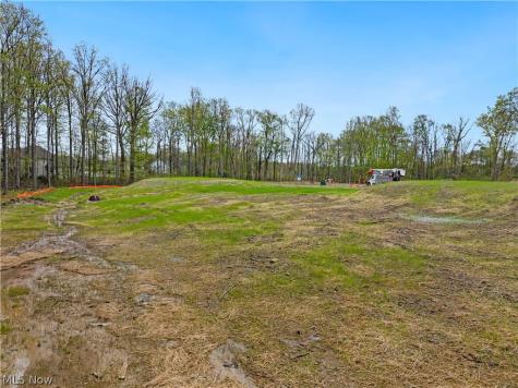 9533 River Birch Run Brecksville OH 44141