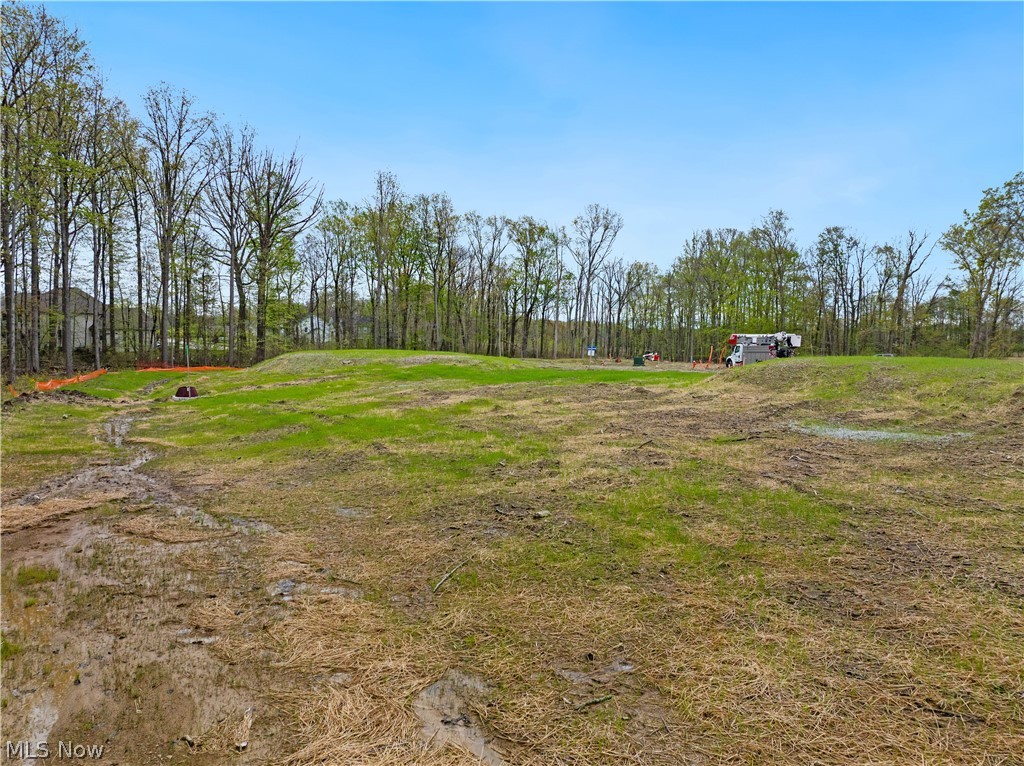 9533 River Birch Run Brecksville OH 44141