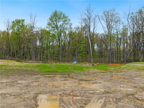 9533 River Birch Run Brecksville OH 44141