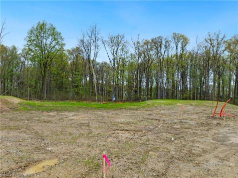 9533 River Birch Run Brecksville OH 44141