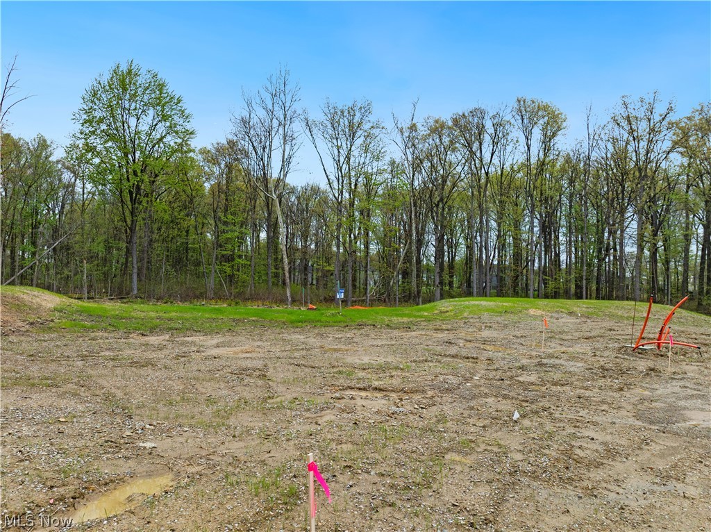 9533 River Birch Run Brecksville OH 44141